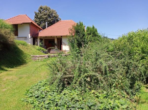 Apartman Marković